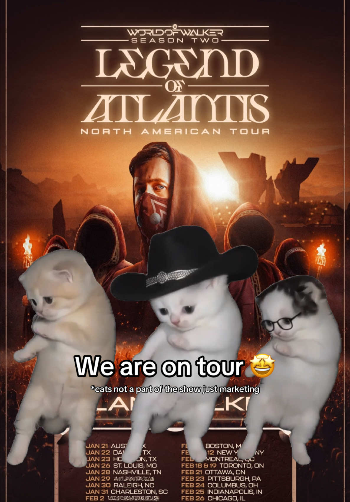 @Alan Walker