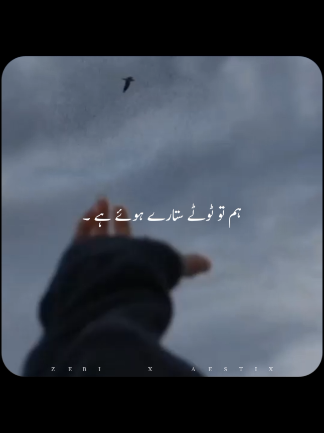 @𝙕𝙀𝘽𝙄 𝙓 𝘼𝙀𝙎𝙏𝙄𝙓