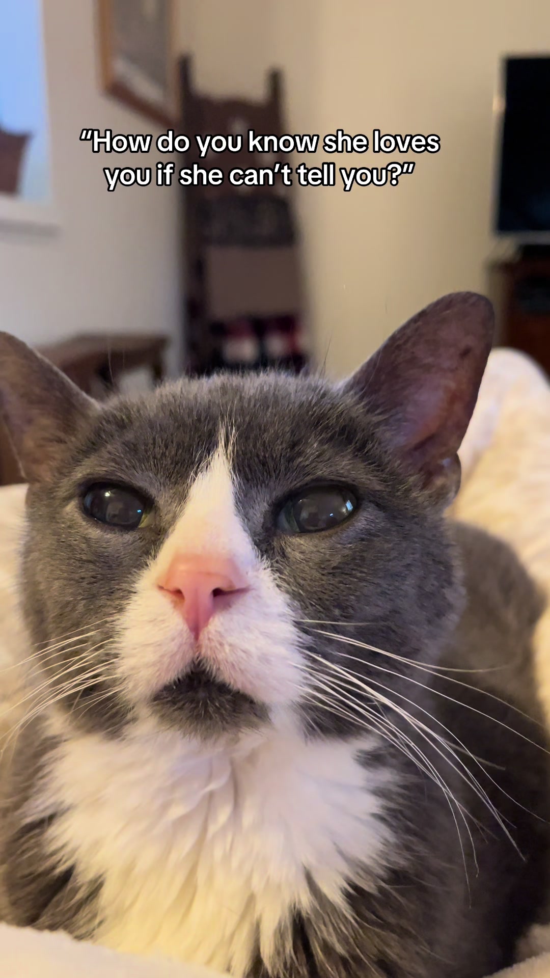 @Trixie the Tuxie