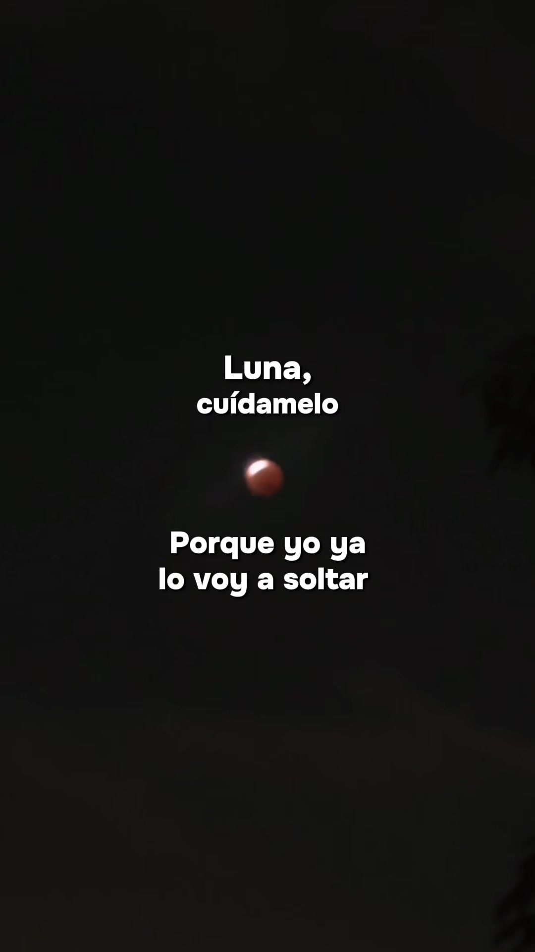 @Evy✨🩵