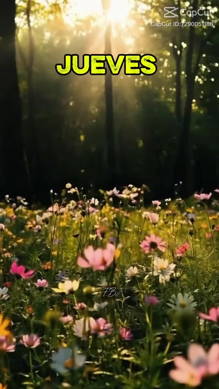 @DanielMorales_7