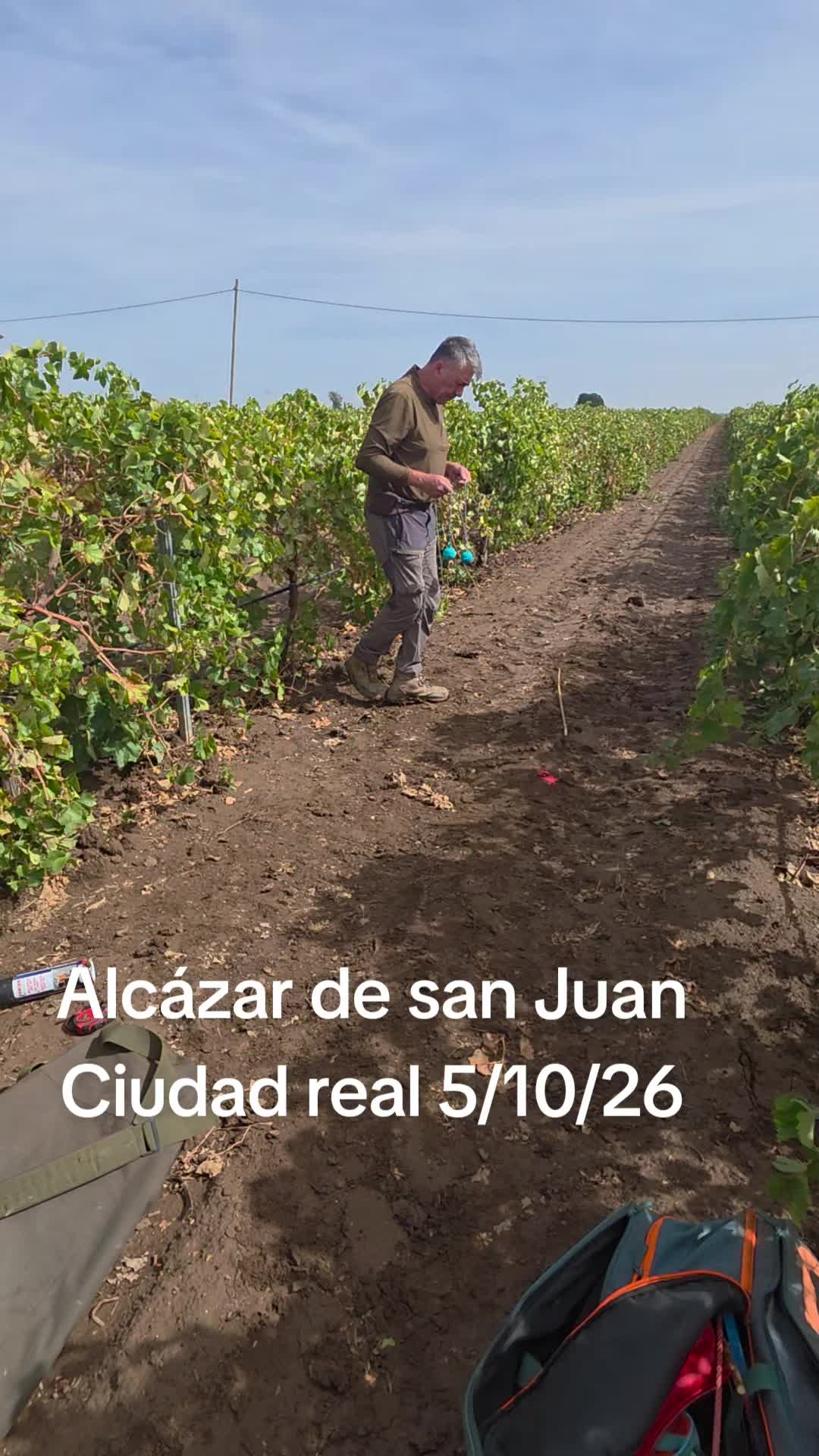 @Zahori Blas Moreno