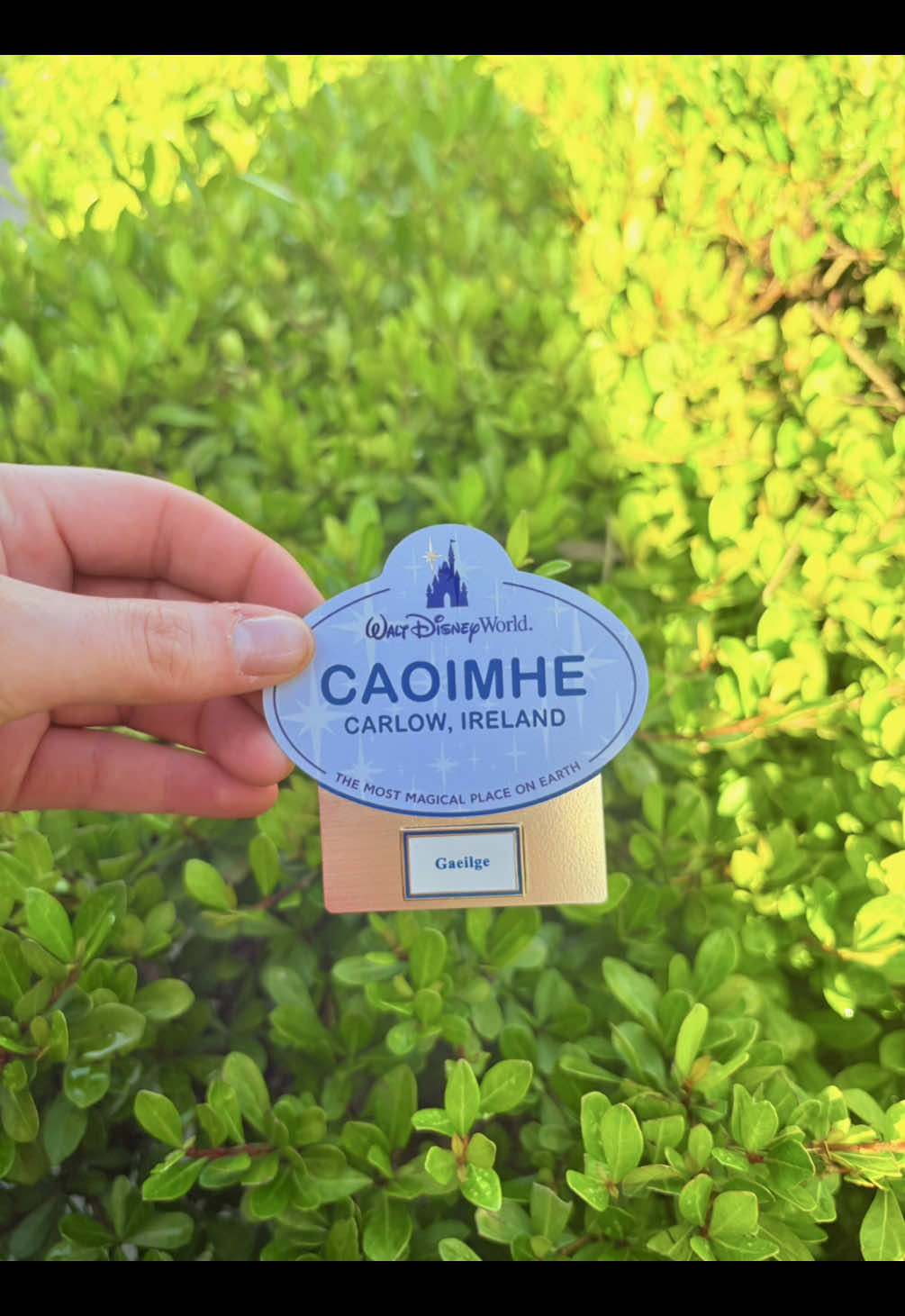 @Caoimhe💫🎀