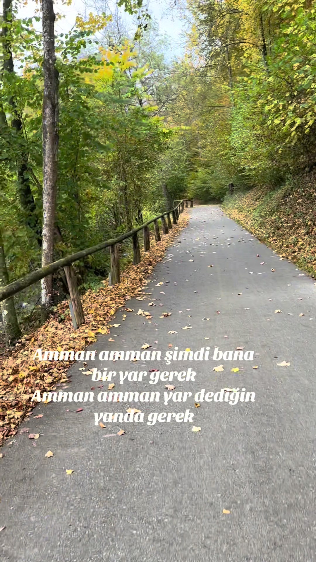 @Gül🌹