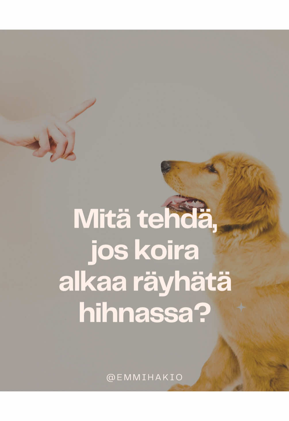 @Emmi Hakio