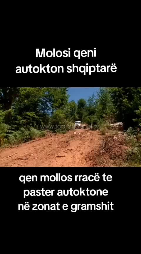 @Arianitët2 kula
