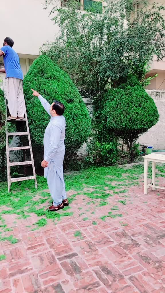 @badshah786