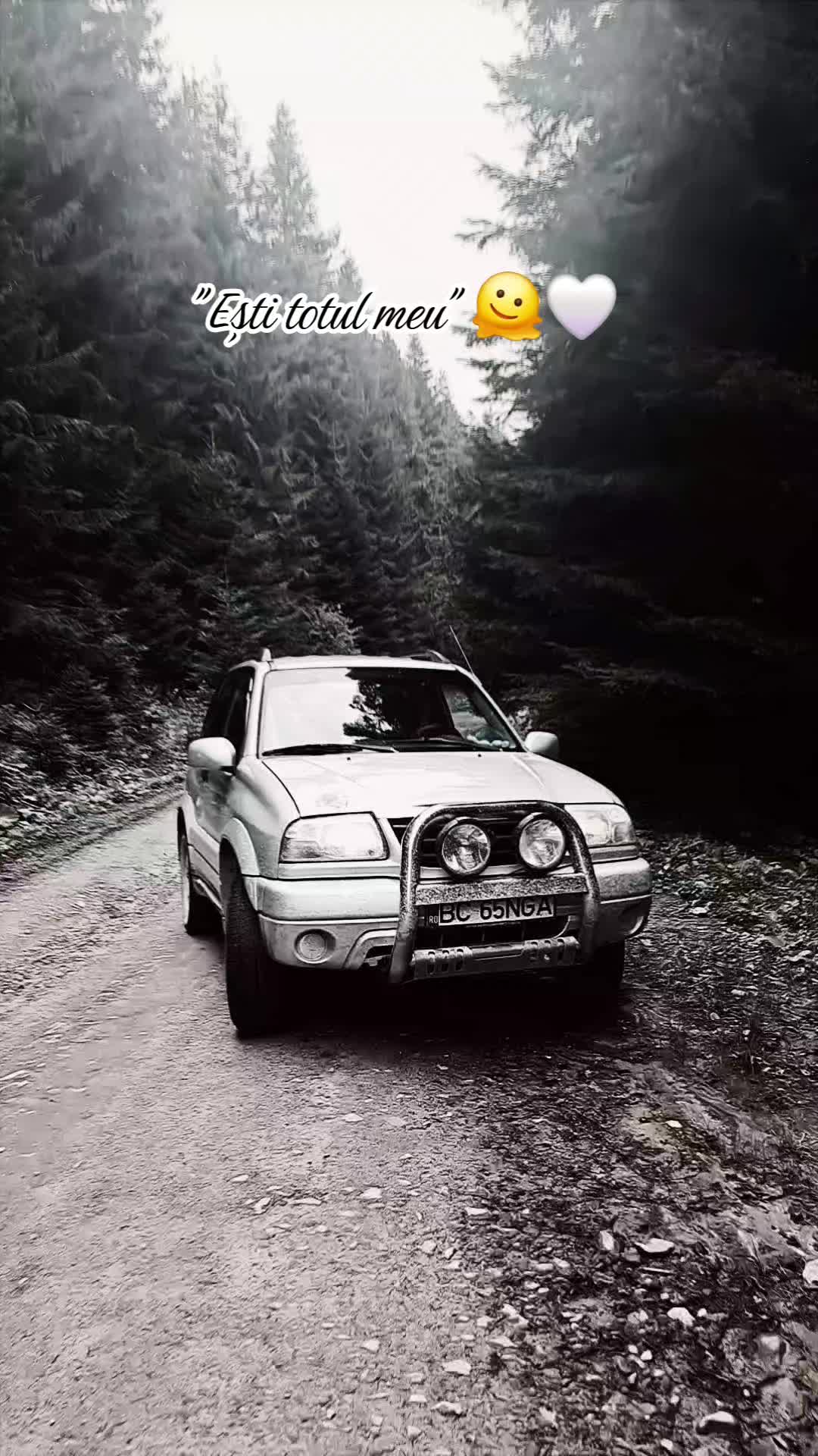 @ᎶᏗᏰᏒᎥᏋᏝᏗ 🐚🐺