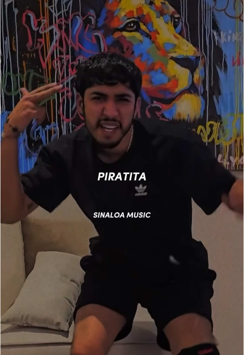 @Sinaloa Music