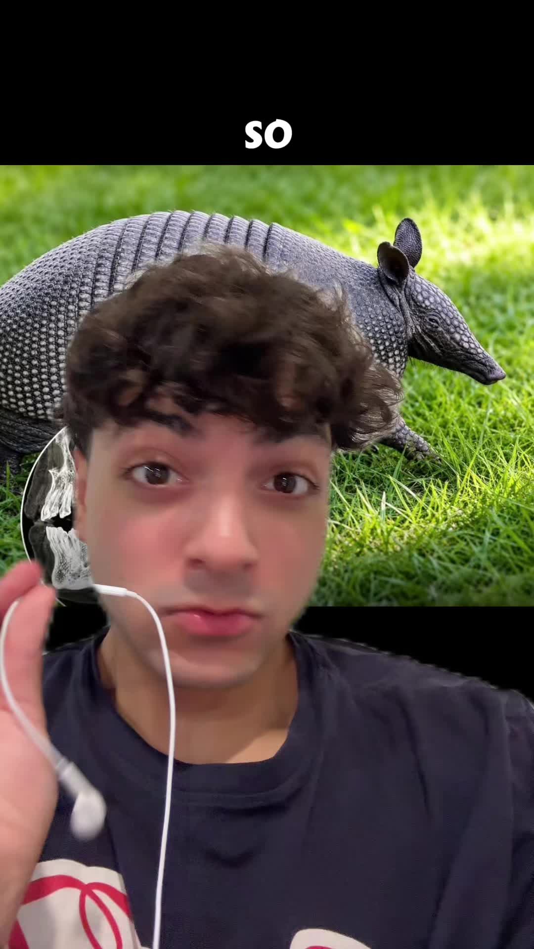 @Sbladn