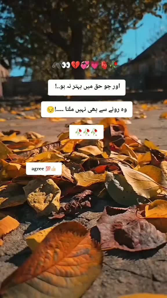 @Amalfairy2