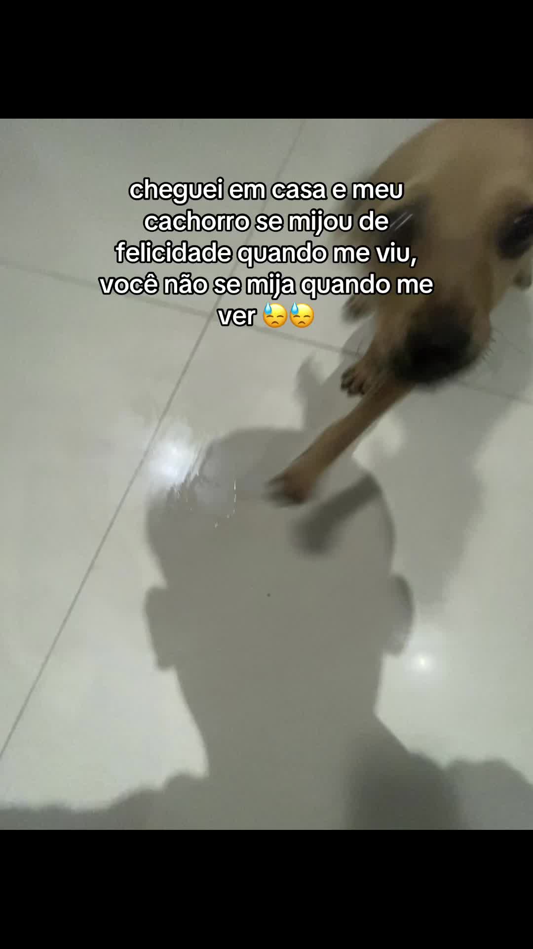 @Juan