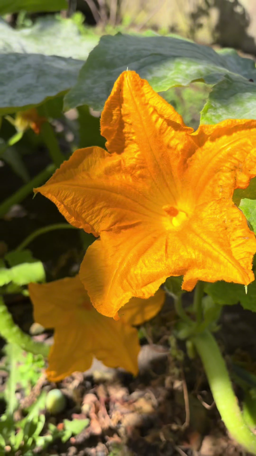 @Zofia 😎