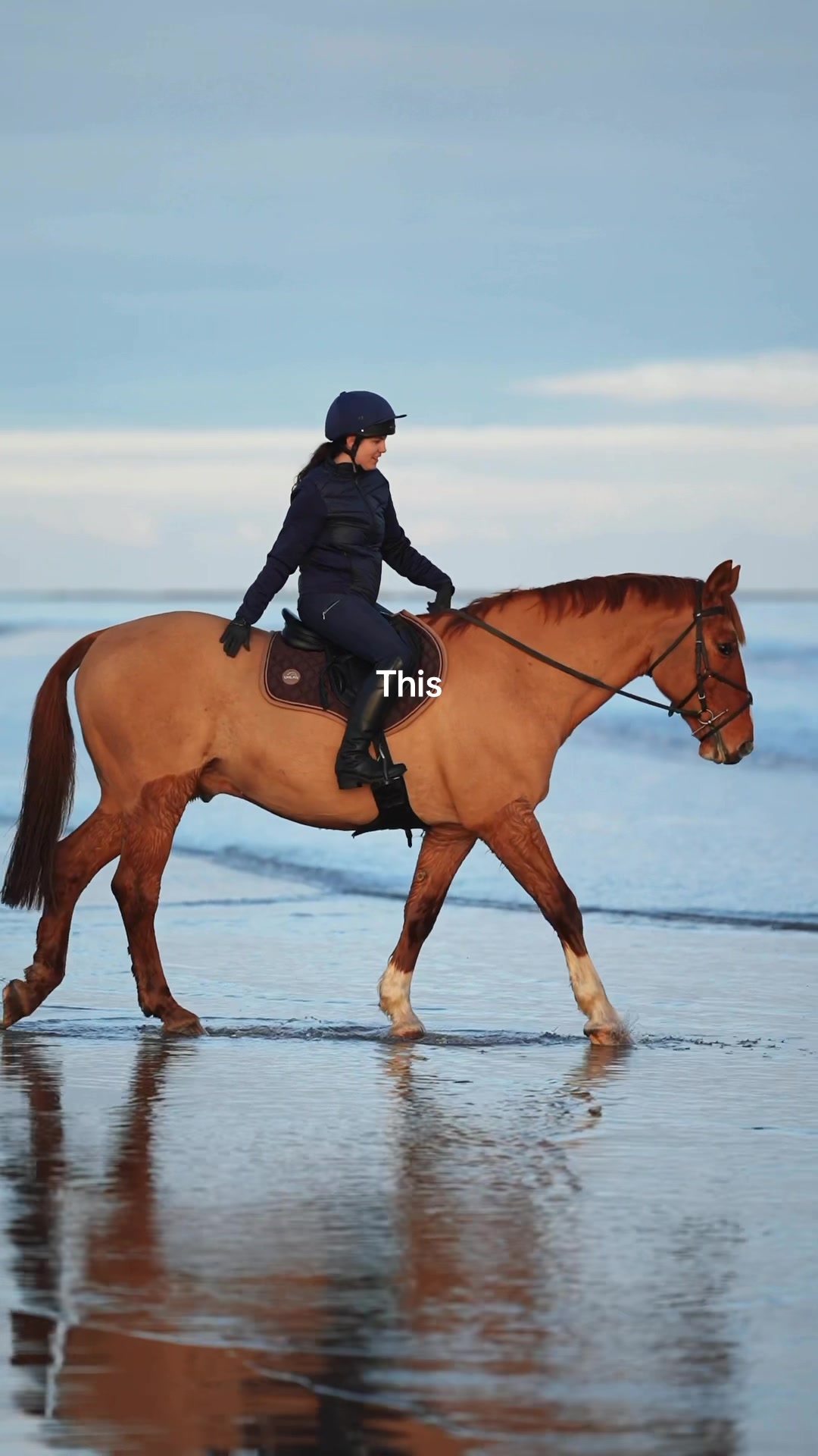 @Uhlan Equestrian