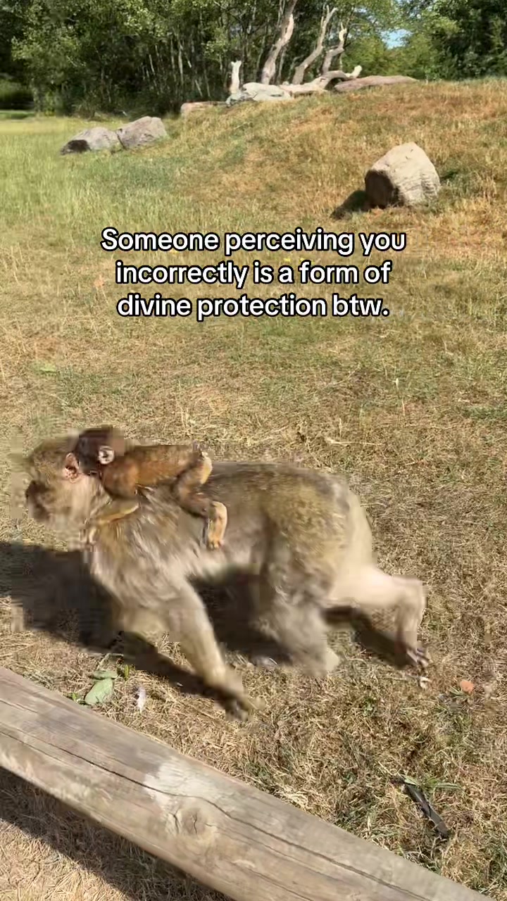 @Shamima