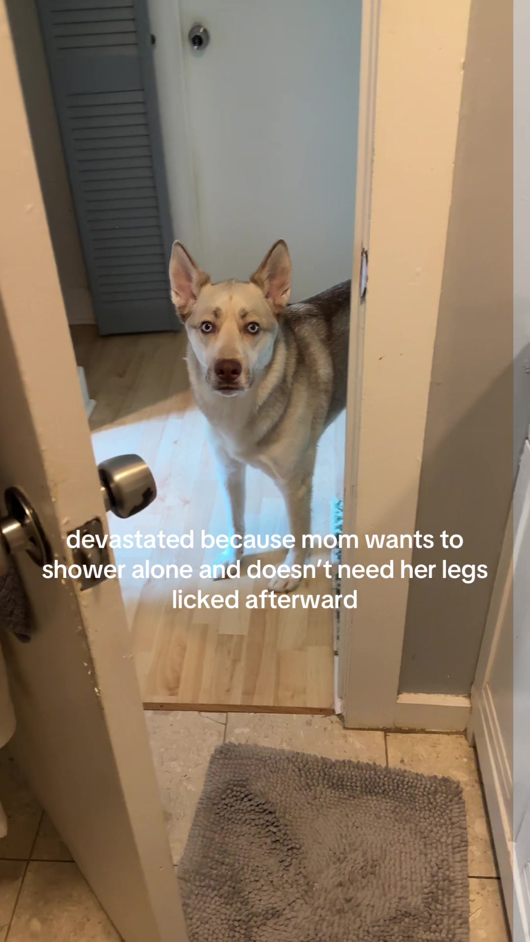 @Finn the Shepsky