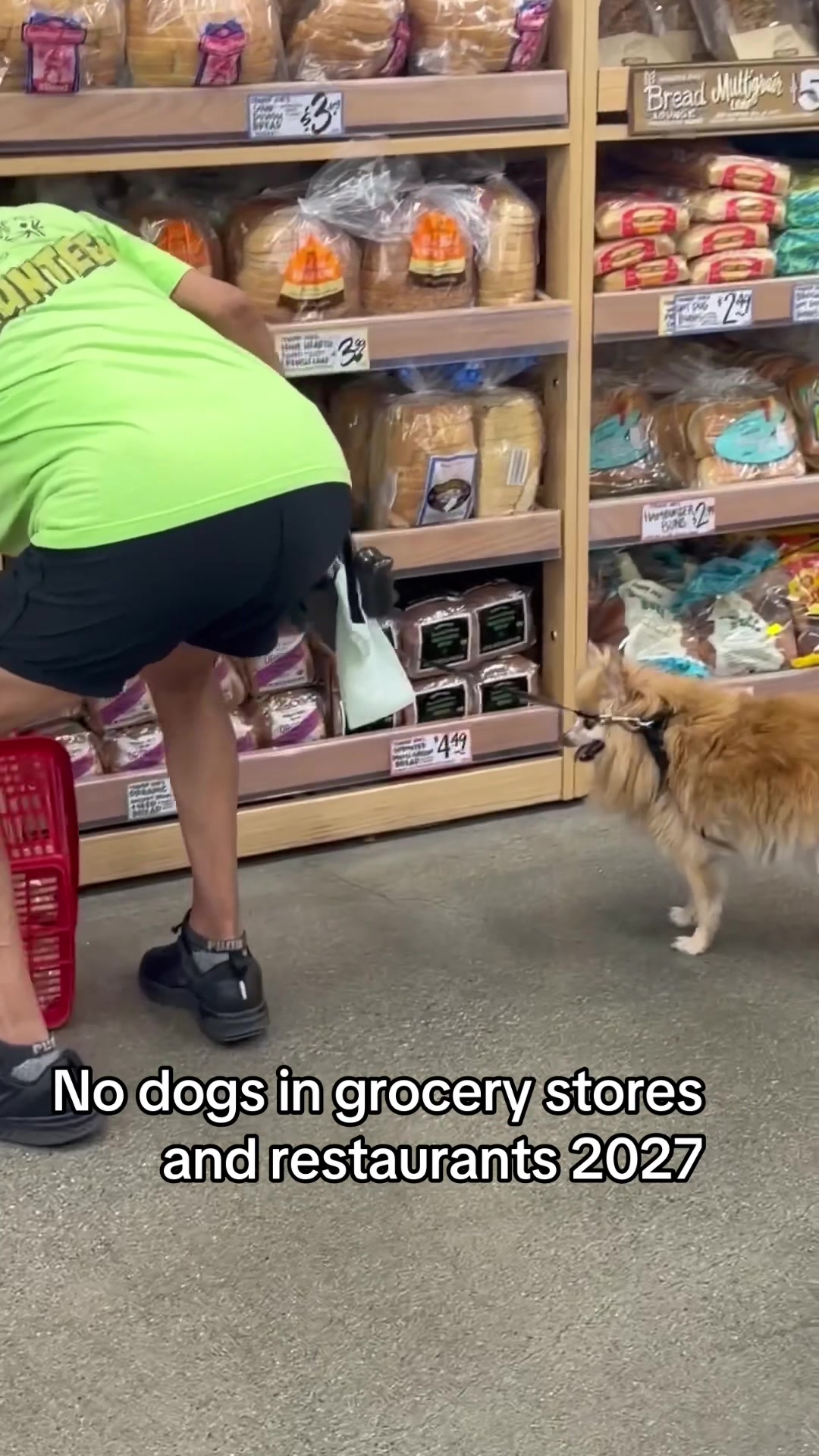 @Dogs aren&rsquo;t Family