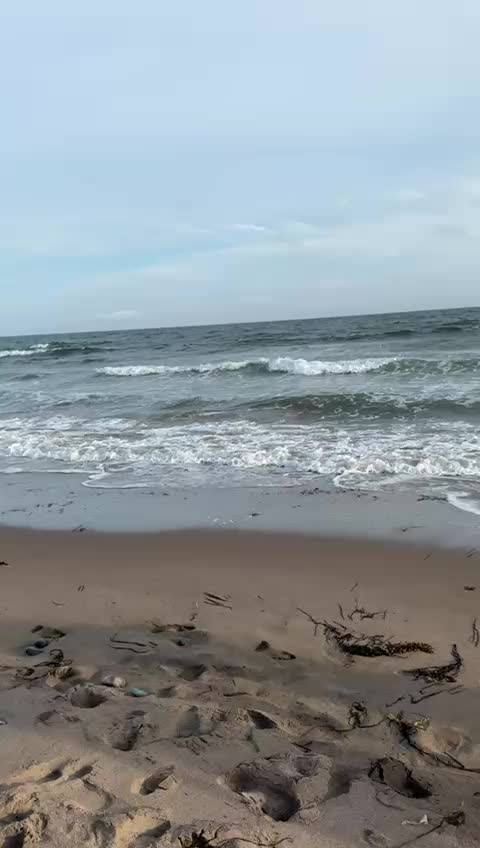 @Haya