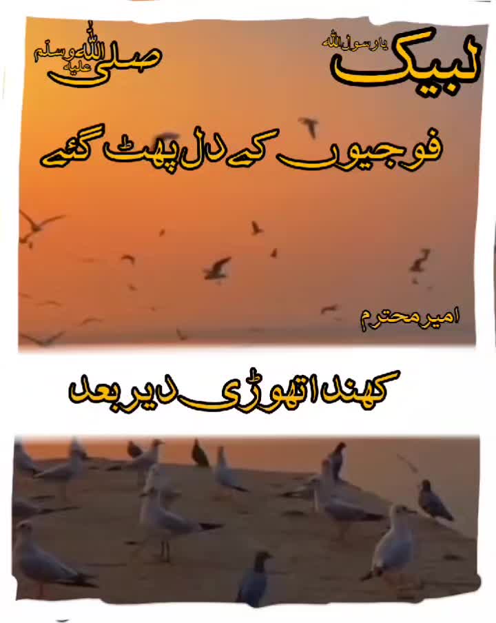@Uzair edits15