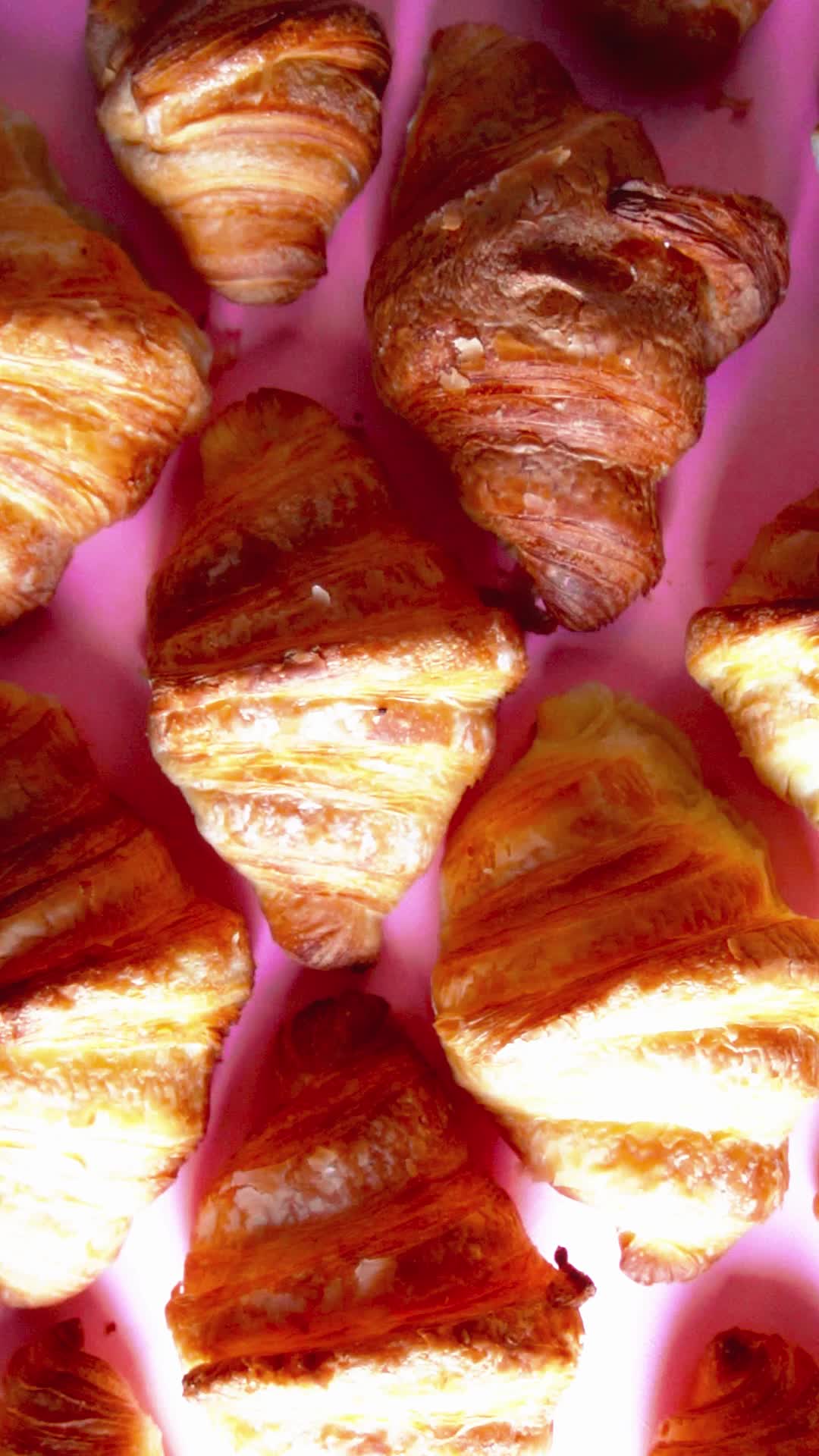 @pasticceria_ranieri