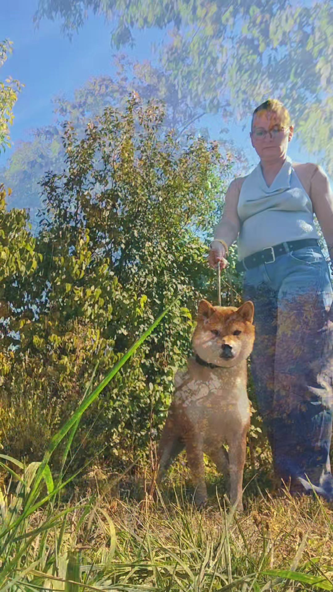 @Spirit of Asia Kennel