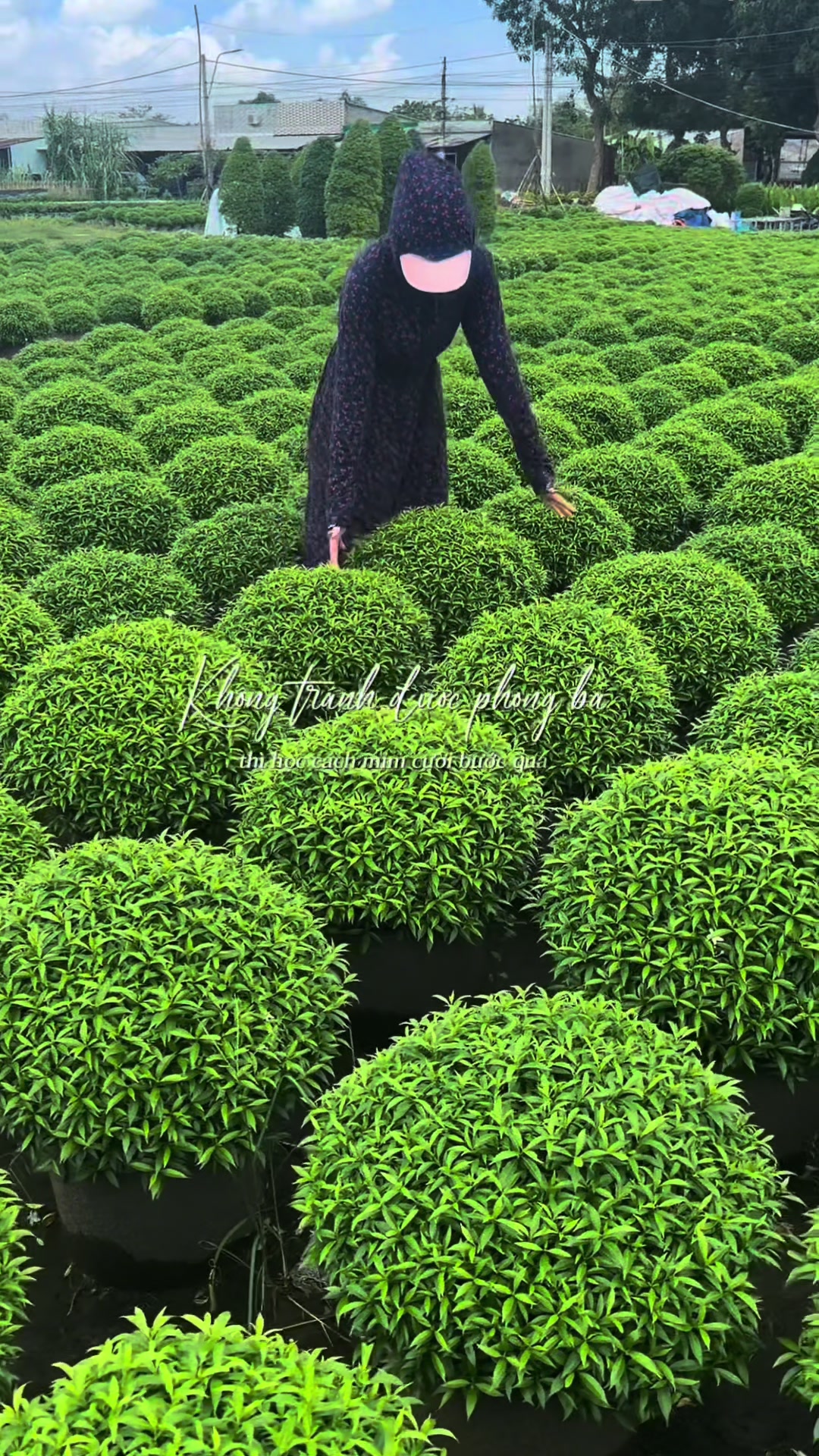 @Tiệm Lá Nhỏ