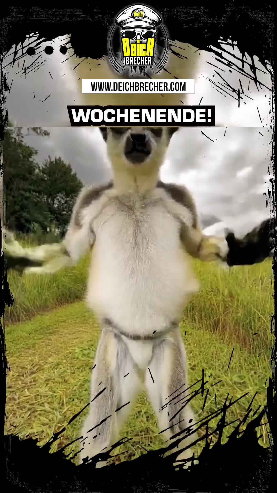 @💣DEICHBRECHER 💣