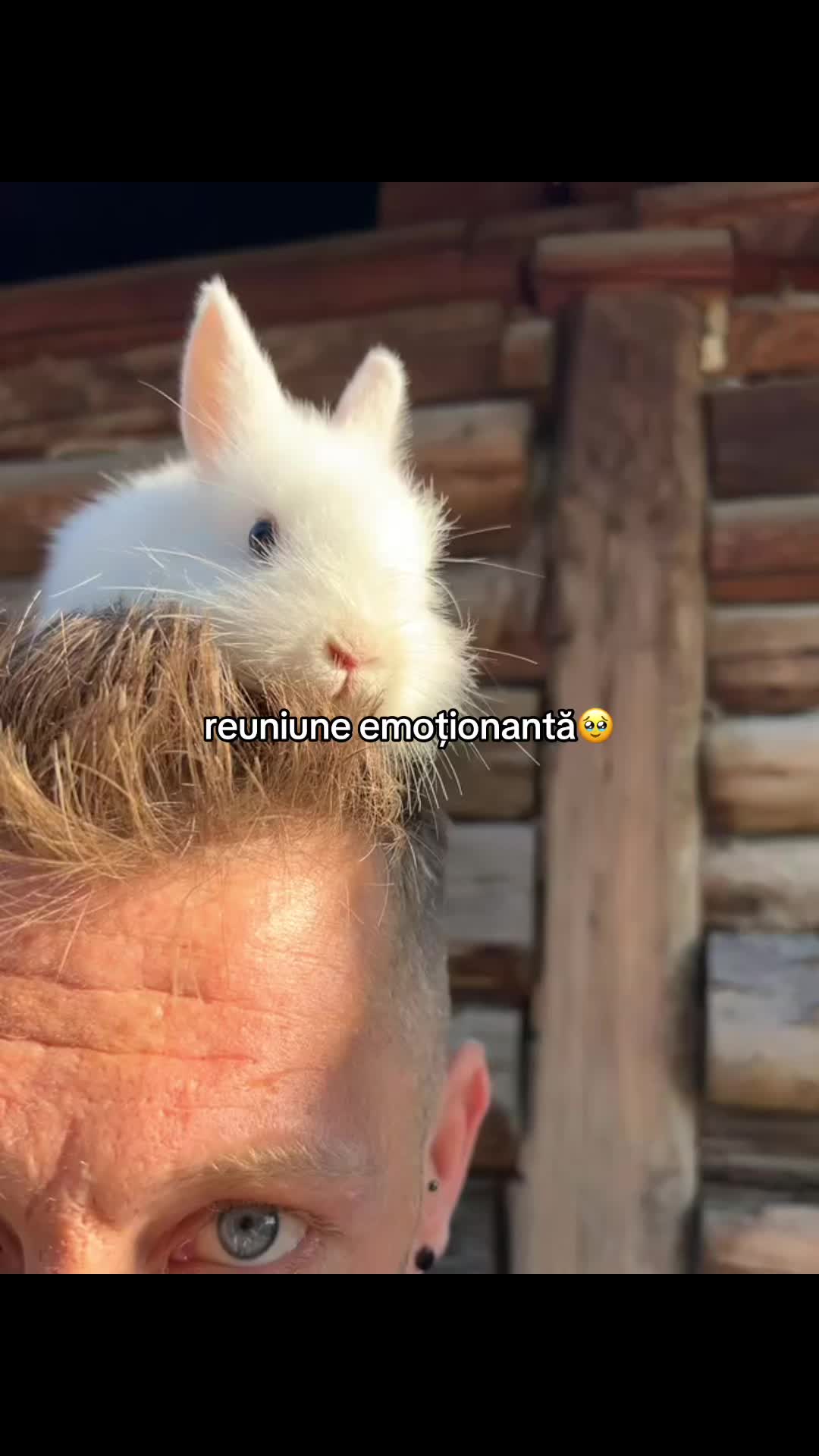 @ștefăneluuu