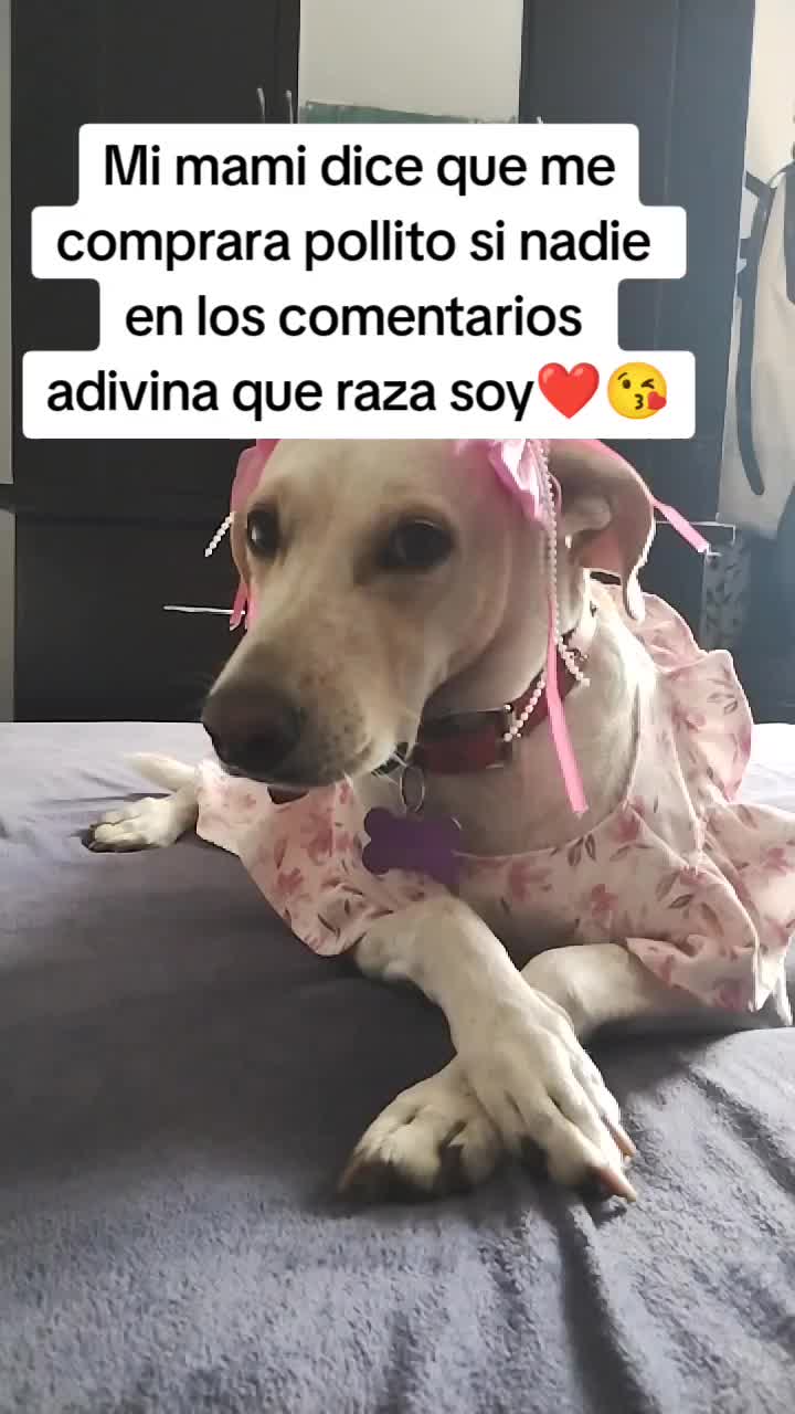 @winnie ❤🦮