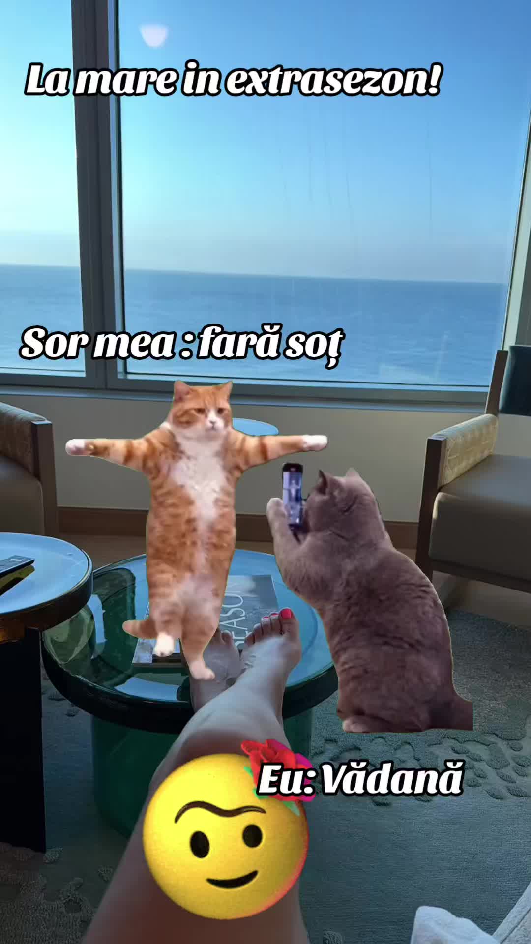 @Stefi Ciocan