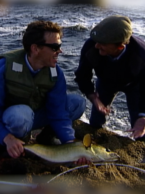 @Fishing TV