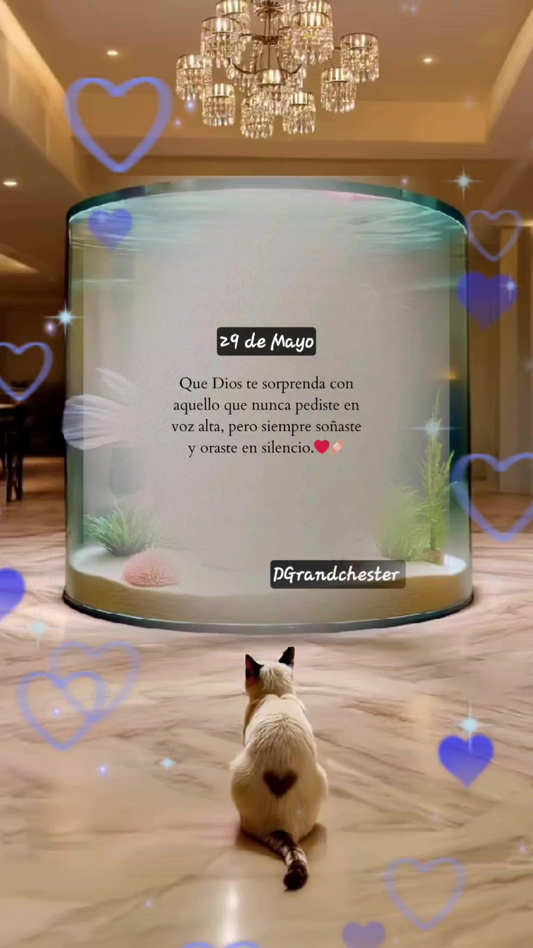 @DGRANDCHESTER