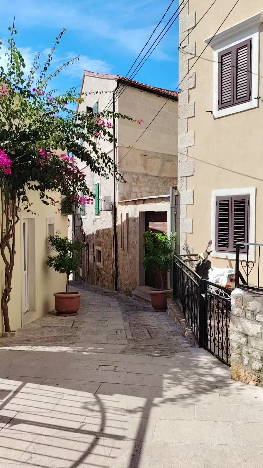 @tanjaa5rs⚓