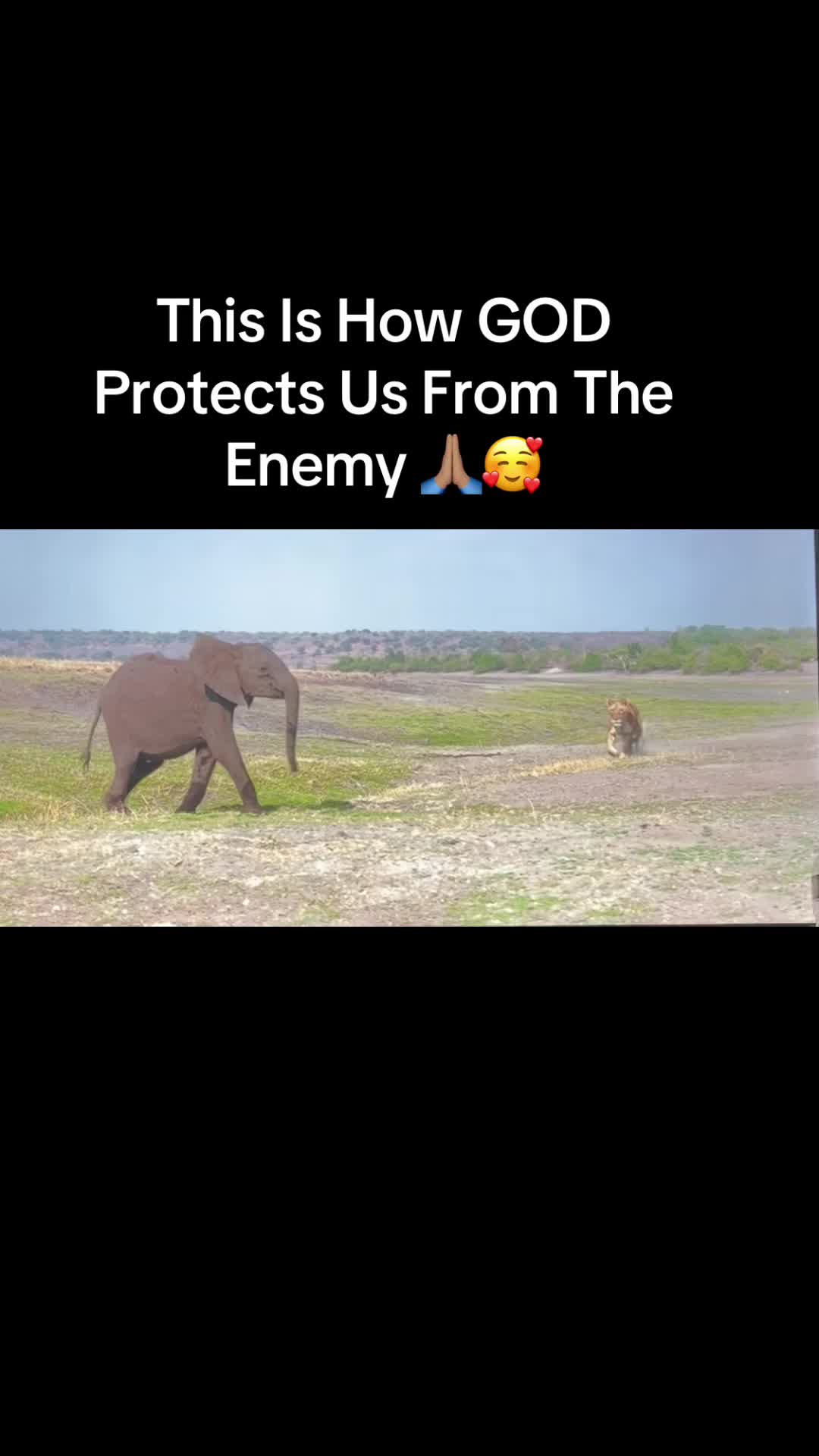 @Angielove