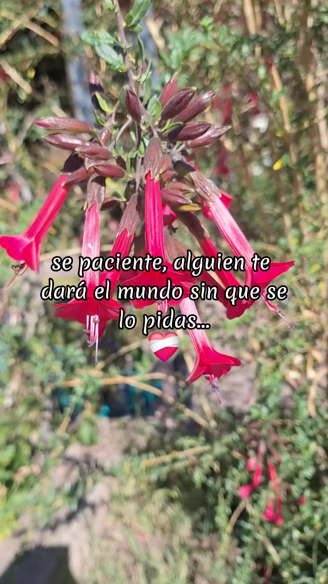 @✨️🩵JLuna 🧑&zwj;⚕️🩵✨️