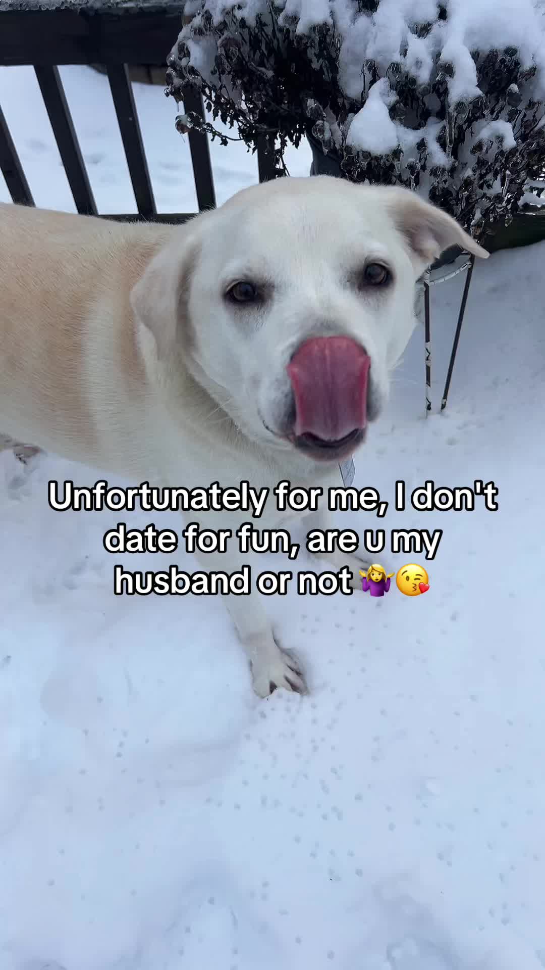 @Suz