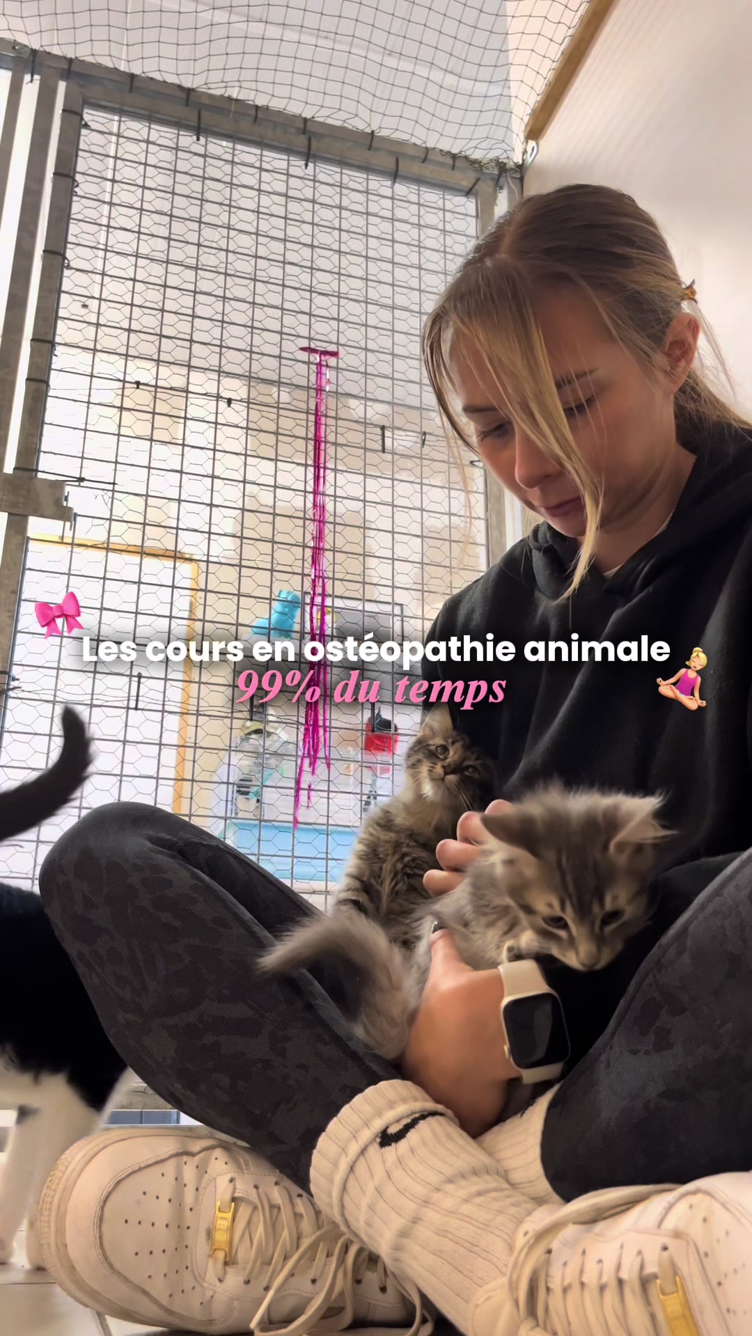 @Animae Ostéo