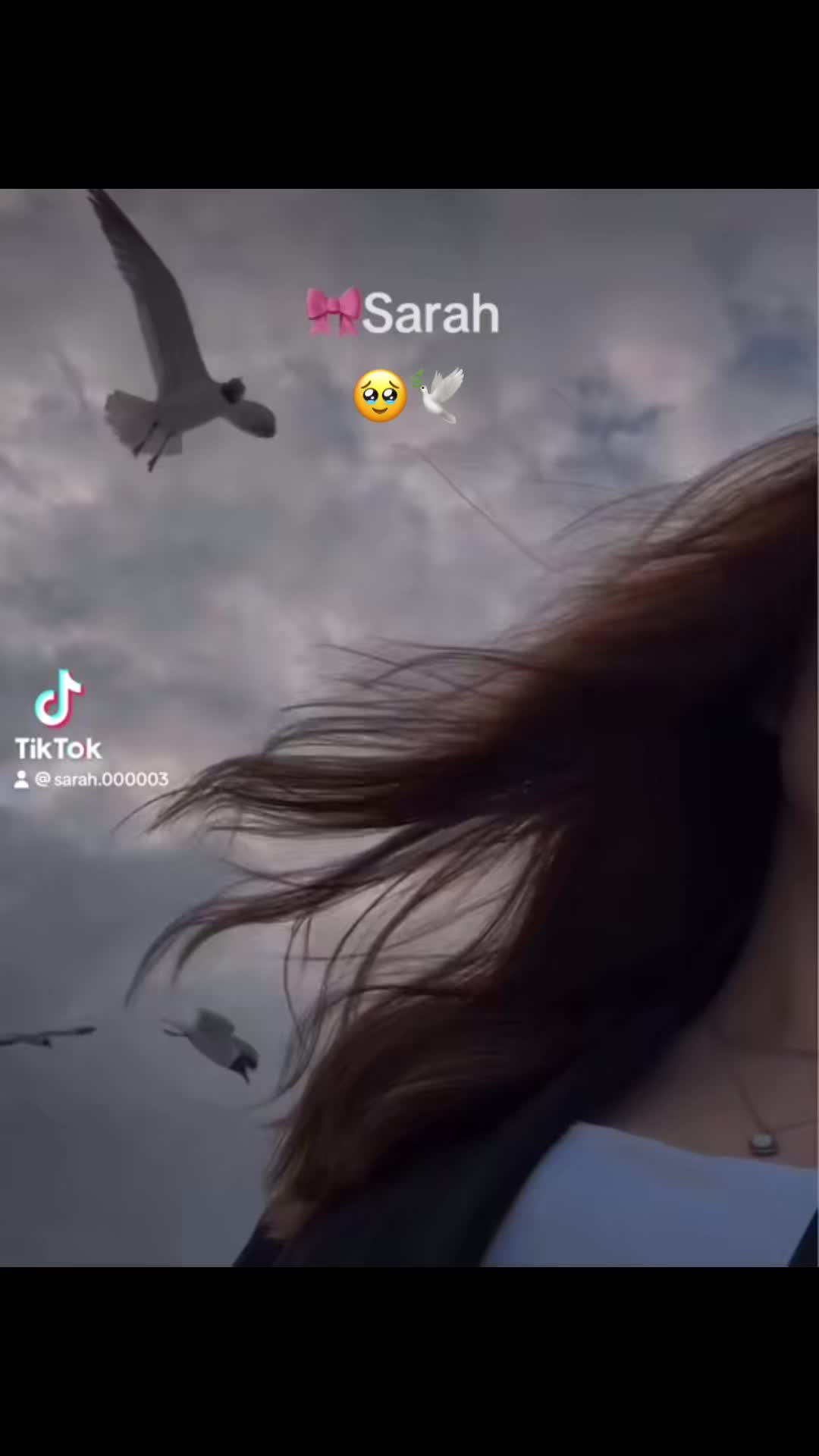 @Sarah 🎀 🕊️