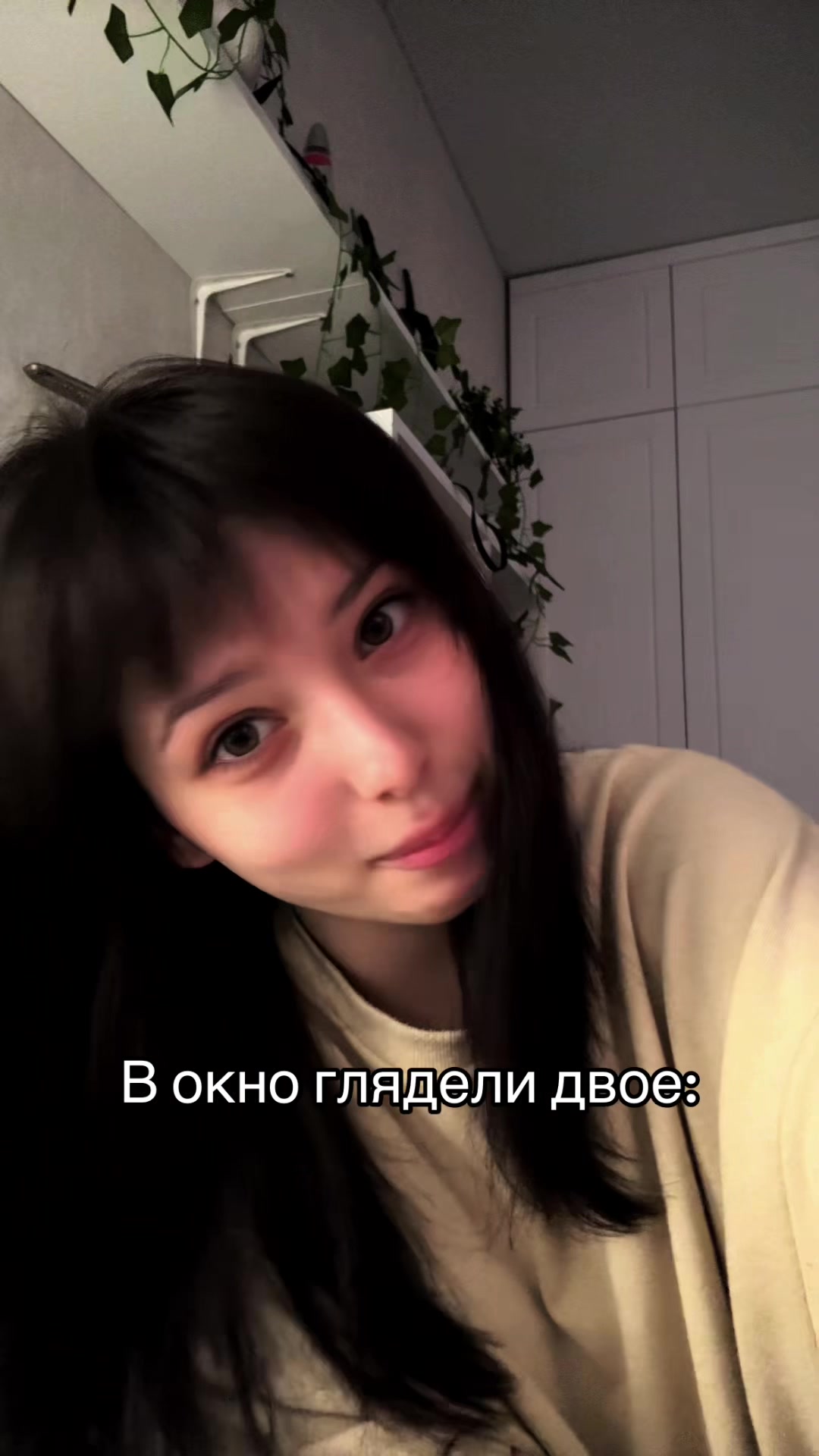 @V/LISA