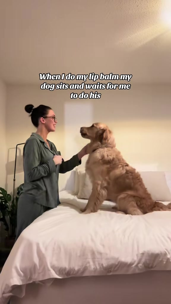 @Sheldon The Retriever