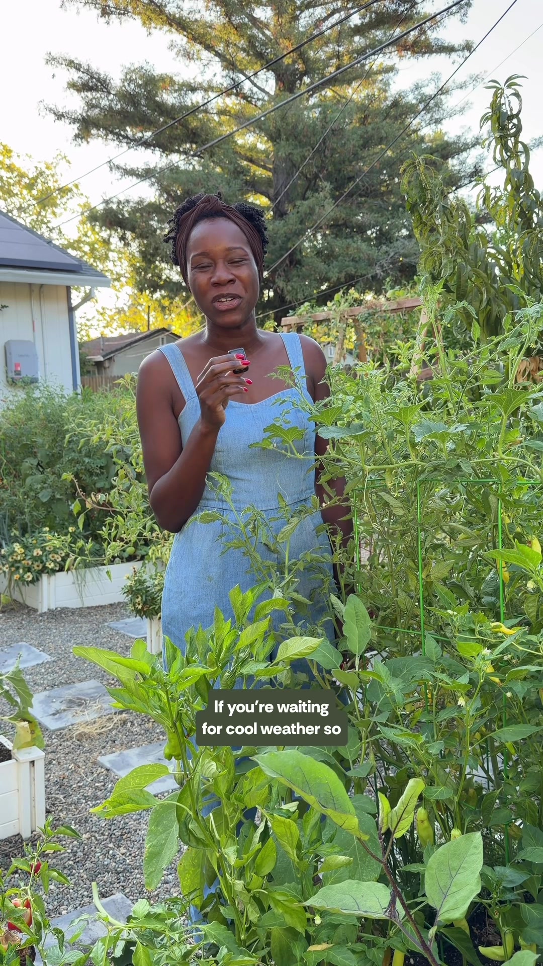 @curlycultivators