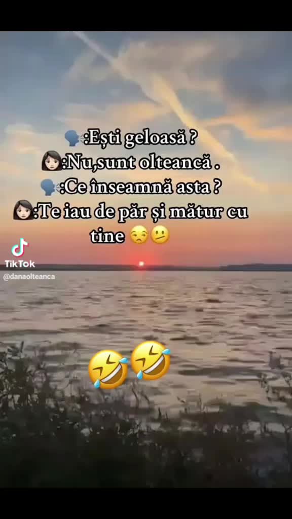 @mariamirela946