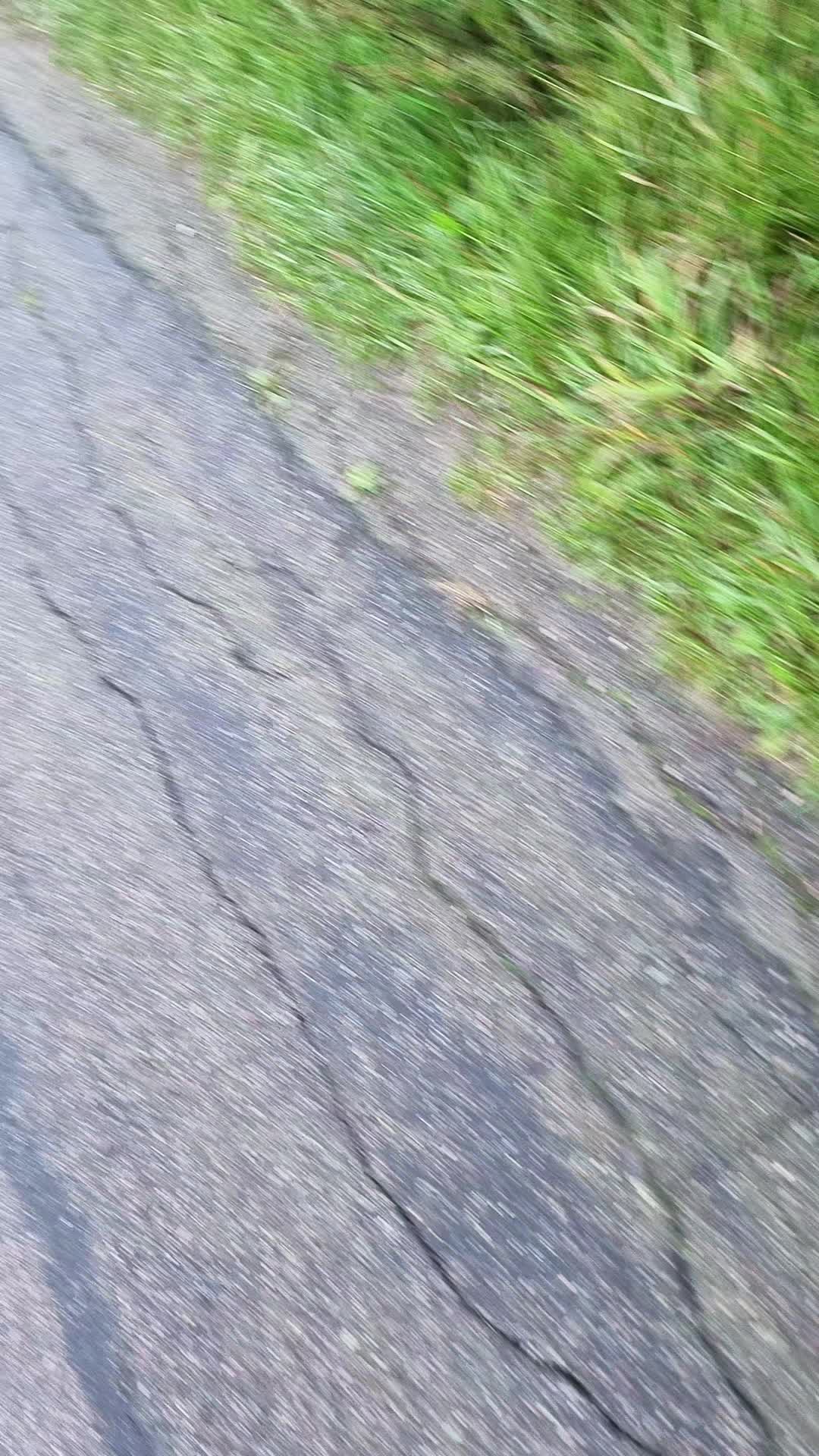 @Lantbruk är livet🚜🤠🌾