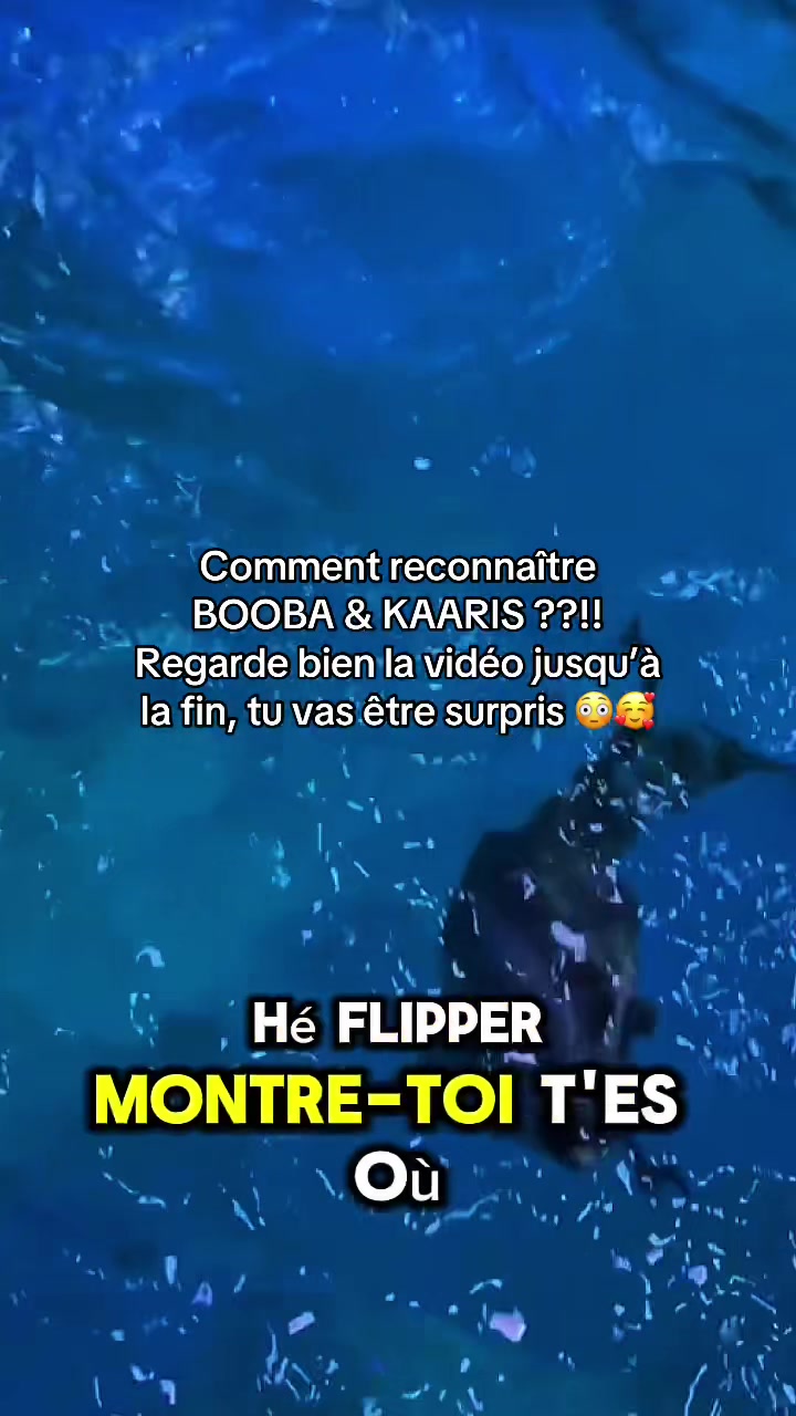 @OxarfisH ™