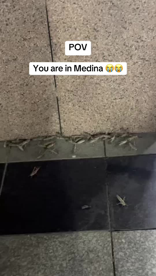 @Israa | اسراء