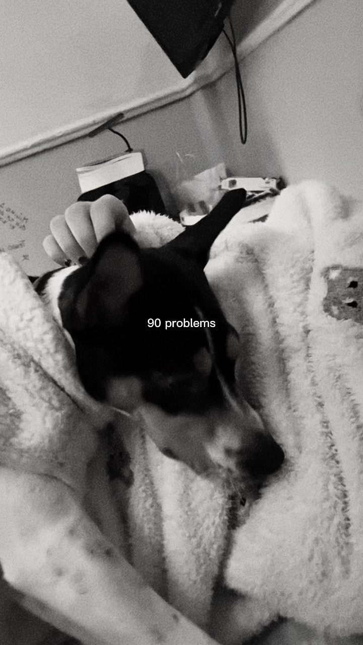 @cotitooo655