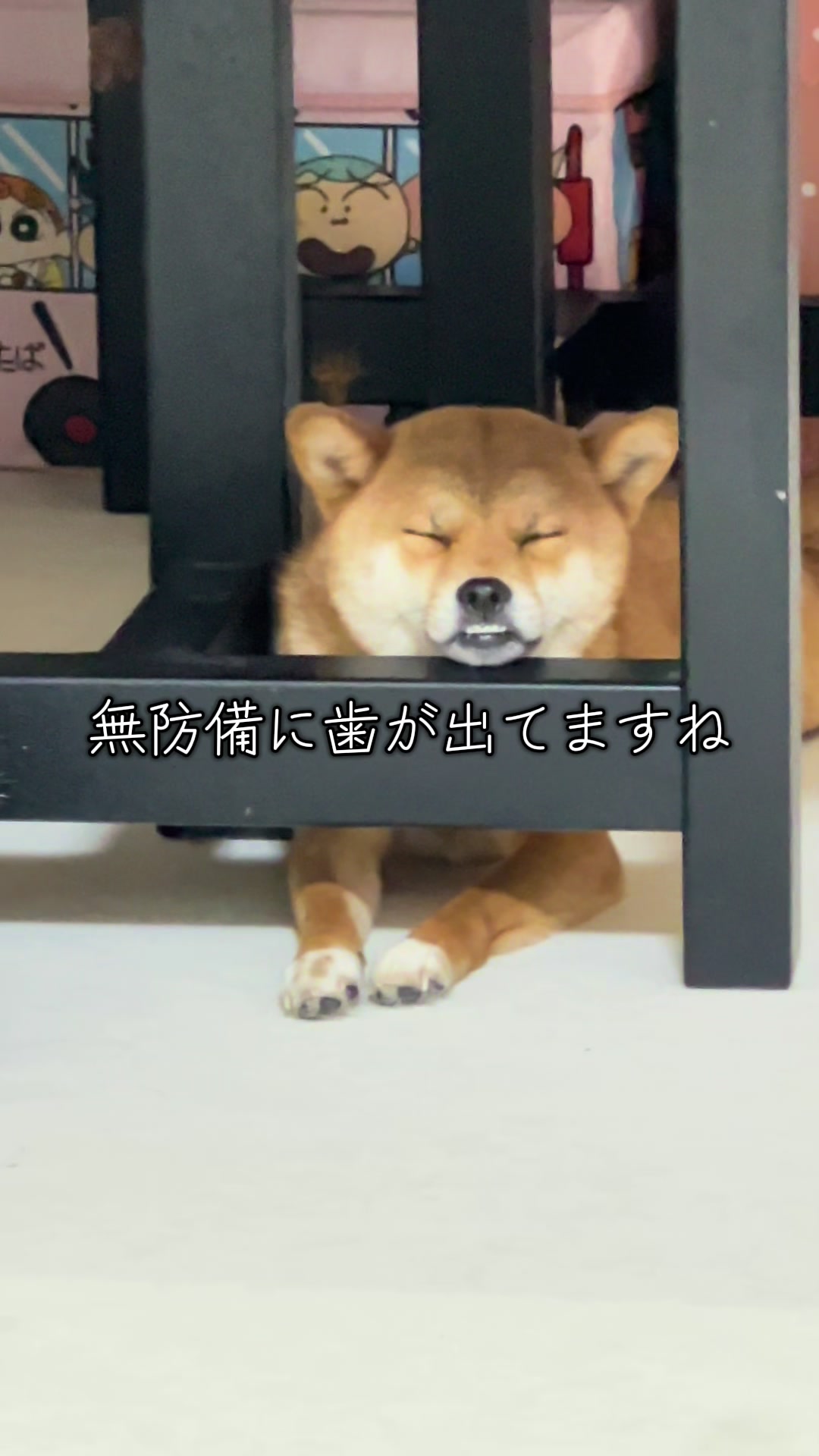 @シャクレ犬