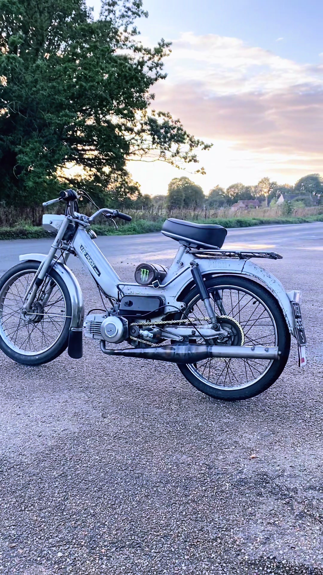 @꧁𓆩༺ ᴬˢʰˡᵉʸ༻𓆪꧂