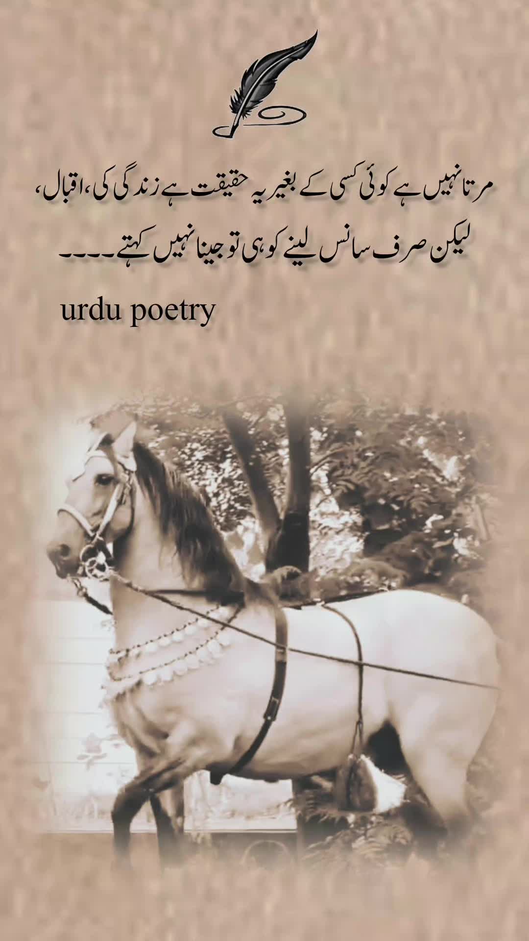@Urdu poetry🇵🇰🇬🇷