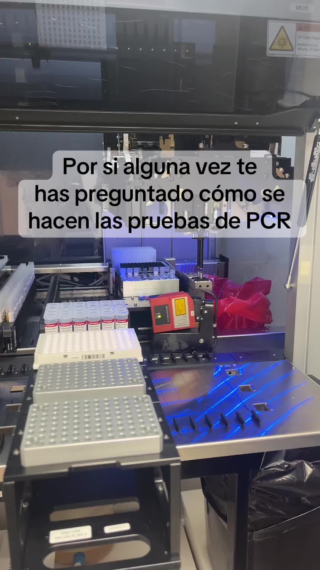 @micropis